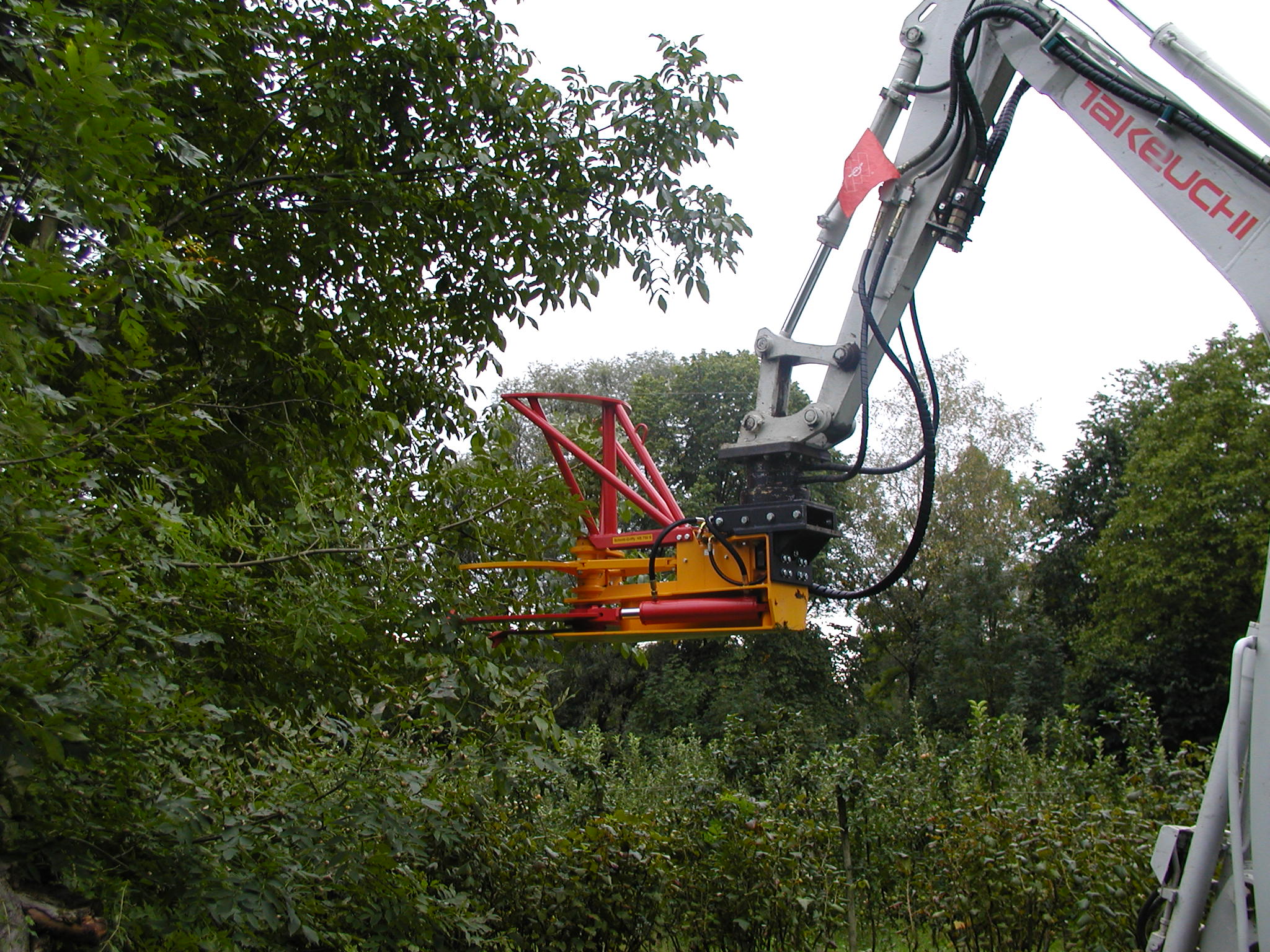 Durchforstung mit Bagger